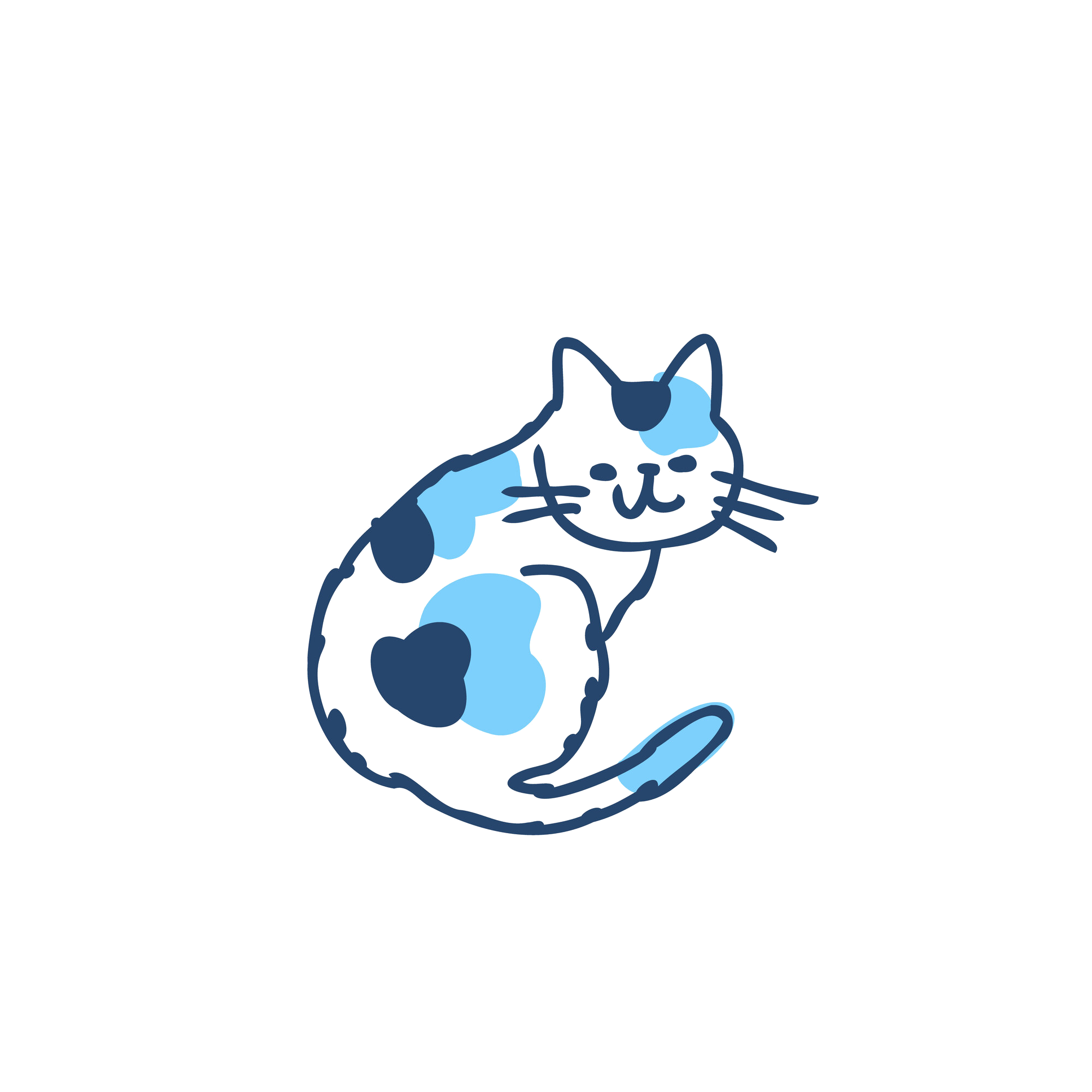 猫のイメージ