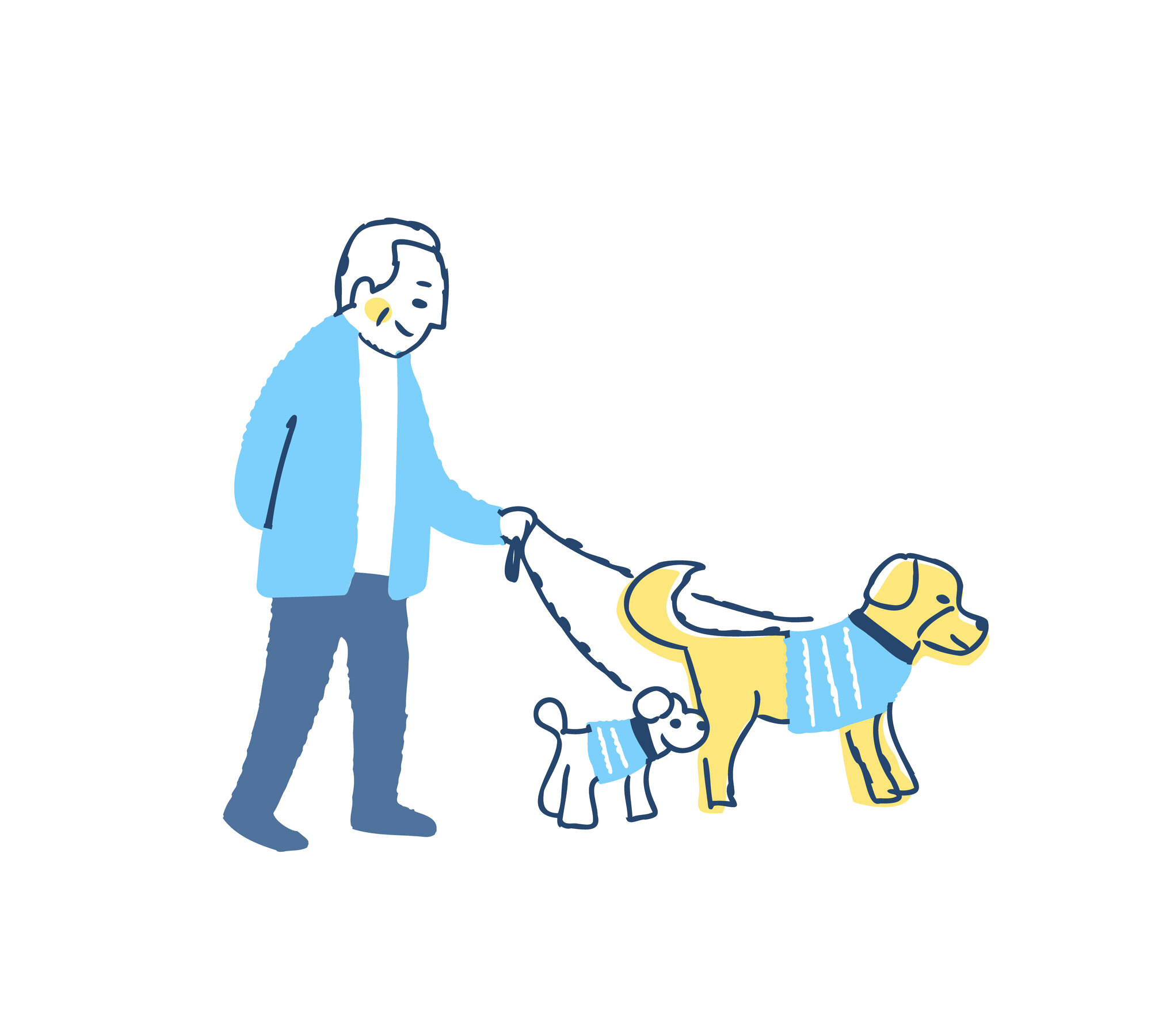 シニアのイメージ