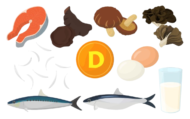 子供の食事のイメージ 子供の食事のイメージ