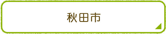 秋田市