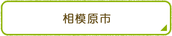 相模原市