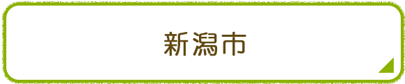 新潟市