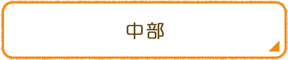 中部