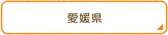 愛媛県