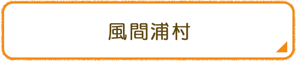 風間浦村