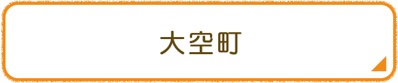 大空町