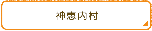 神恵内村