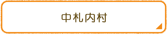 中札内村