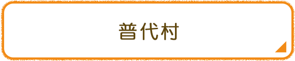 普代村