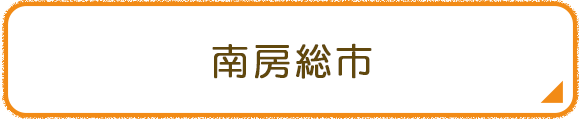 南房総市