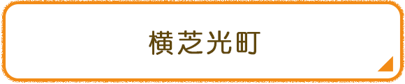 横芝光町