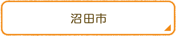 沼田市