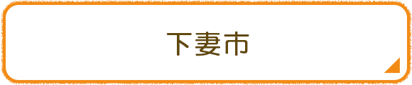 下妻市