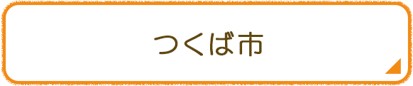 つくば市