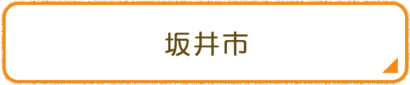 坂井市