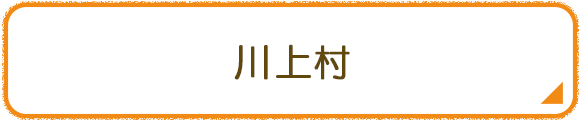 川上村