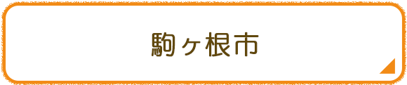 駒ヶ根市