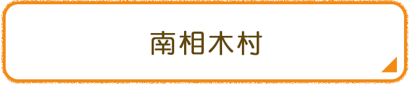 南相木村