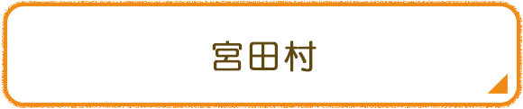 宮田村