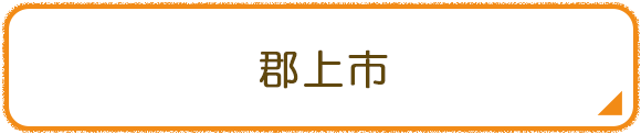 郡上市