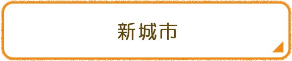 新城市