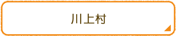 川上村