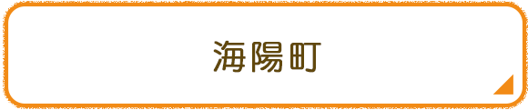 海陽町