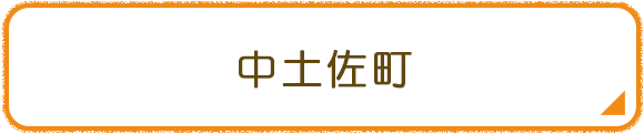 中土佐町