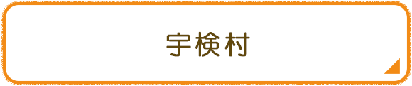 宇検村