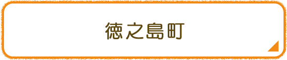 徳之島町