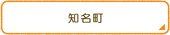 知名町