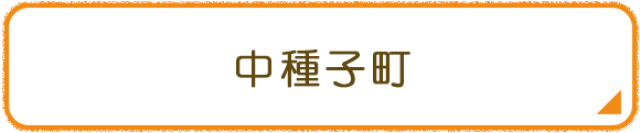 中種子町