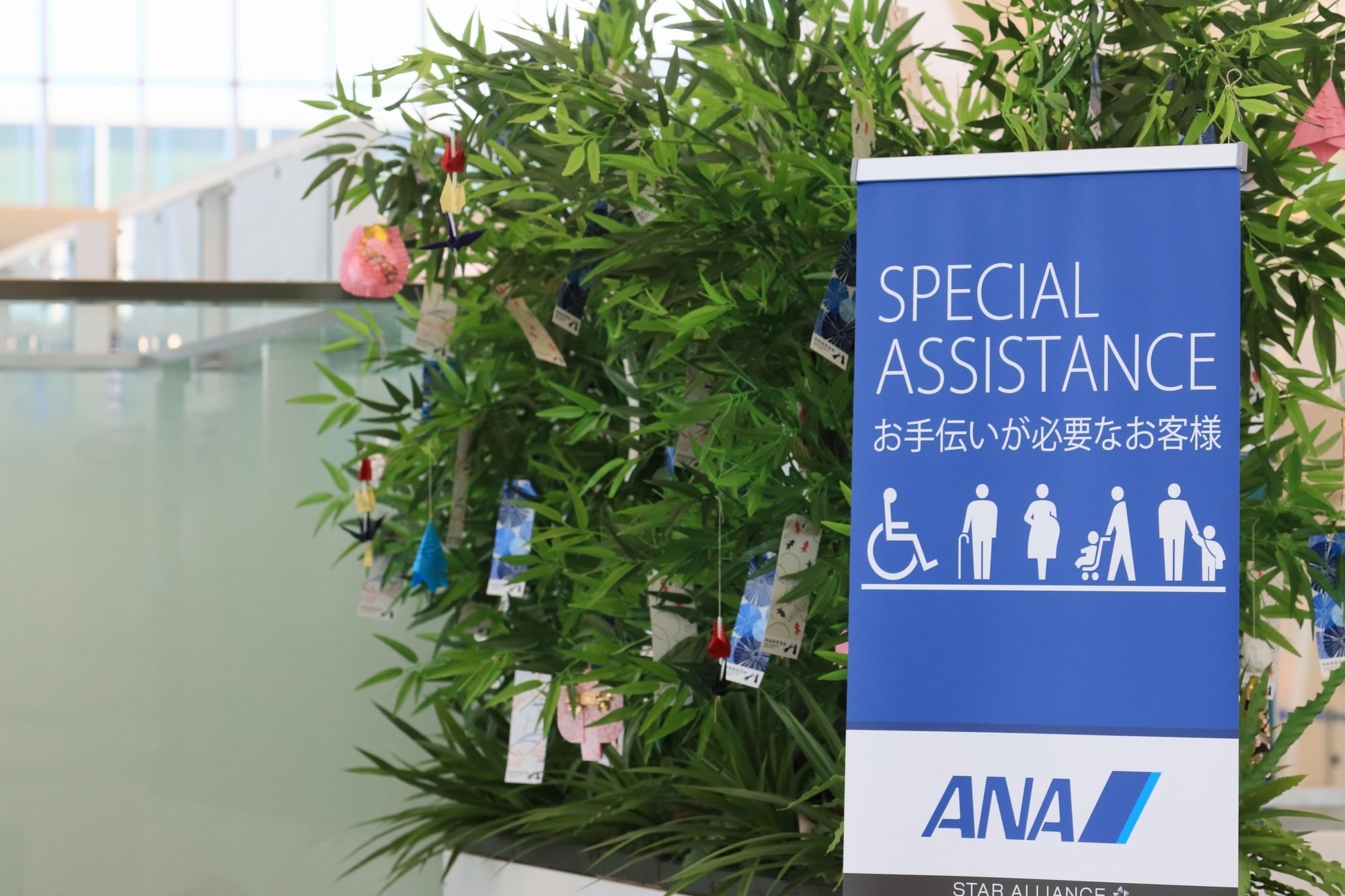 空港のスペシャルアシスタントのイメージ 空港のスペシャルアシスタントのイメージ