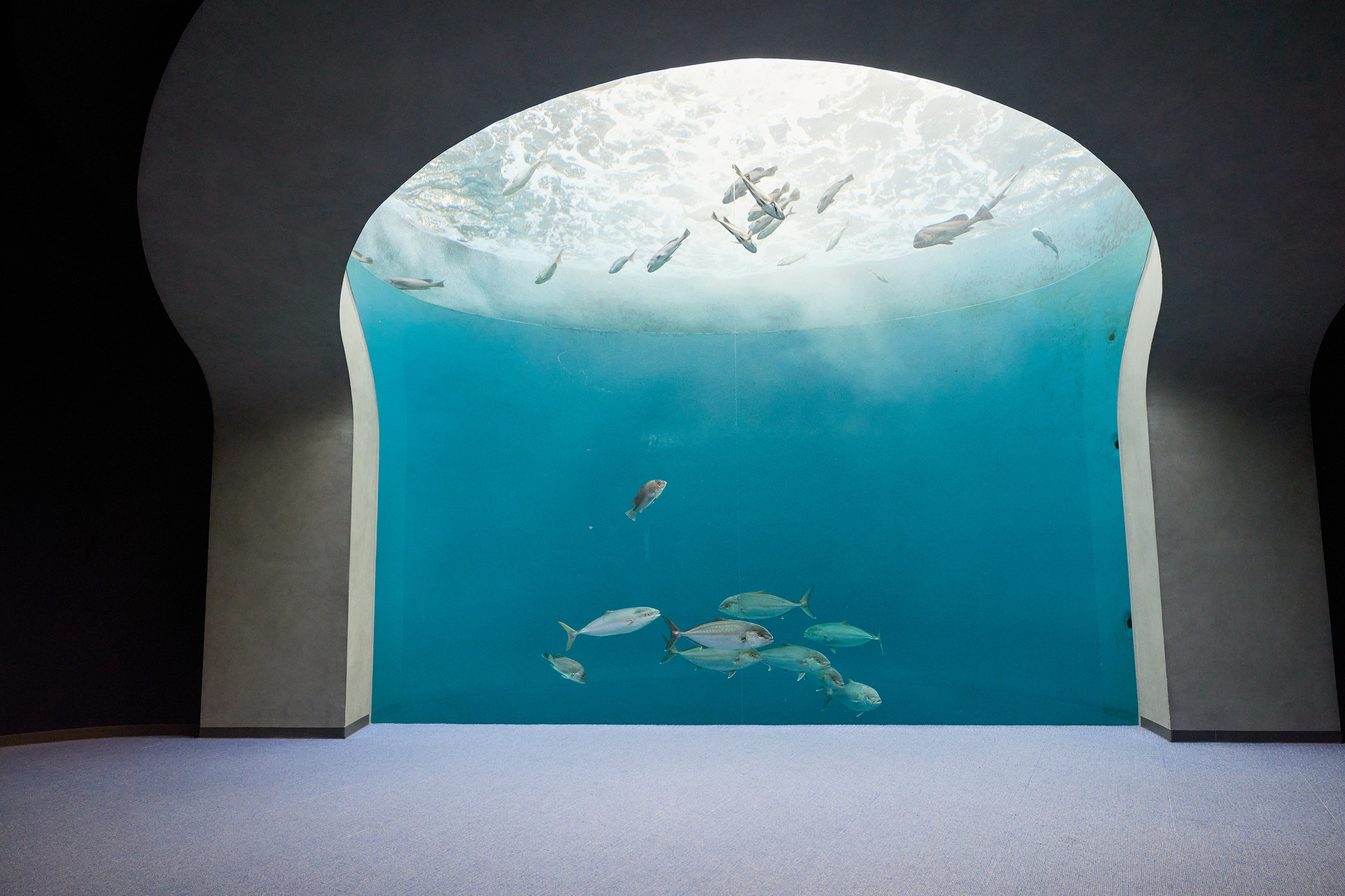 四国水族館のイメージ