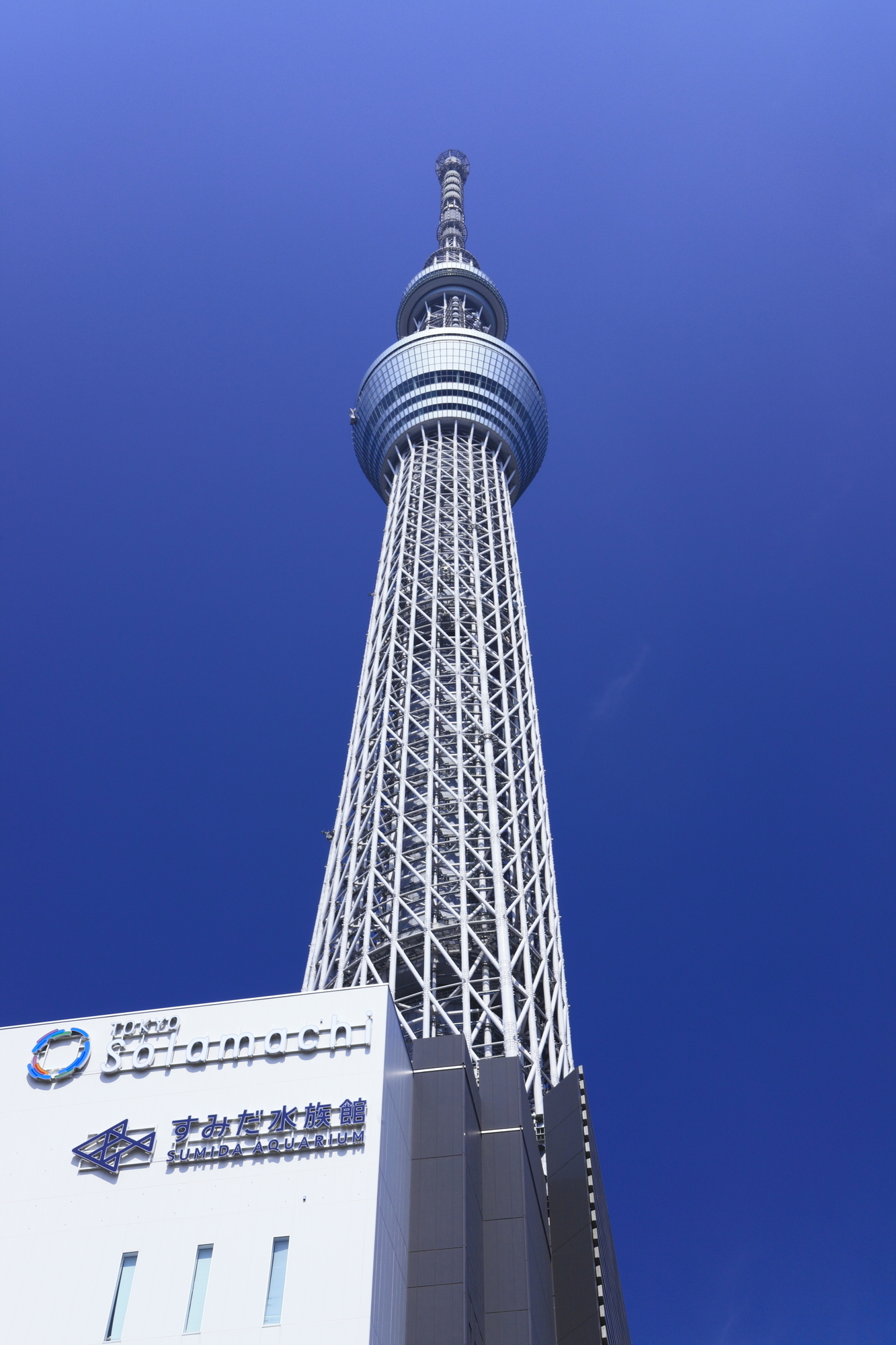 イメージ すみだ水族館