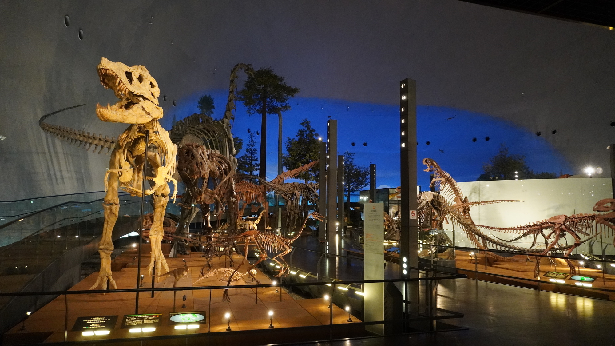 イメージ　福井県立恐竜博物館