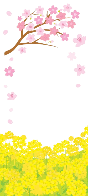 スマホを操作する女性のイメージ スマホを操作する女性のイメージ