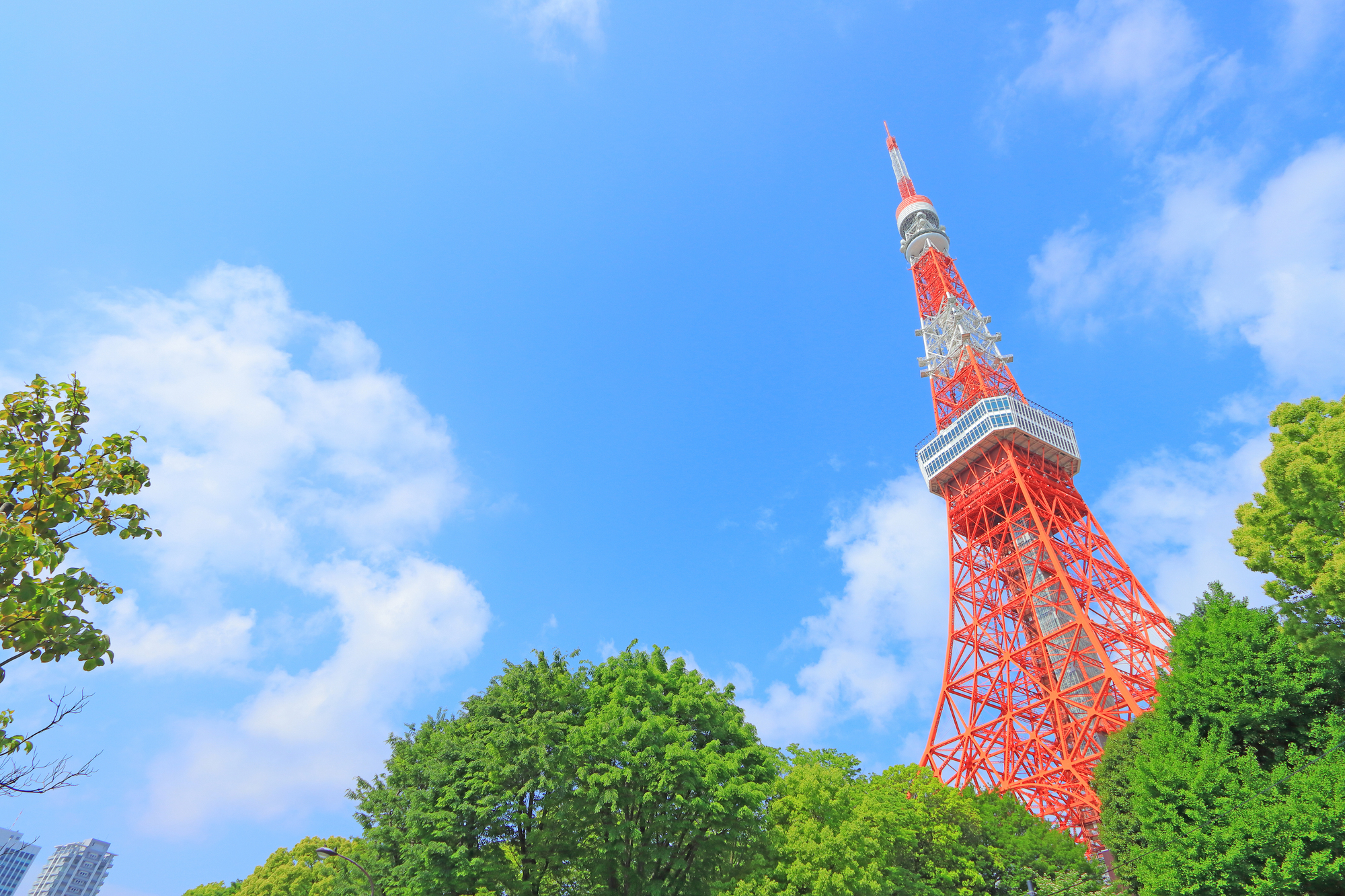 東京タワーのイメージ 東京タワーのイメージ