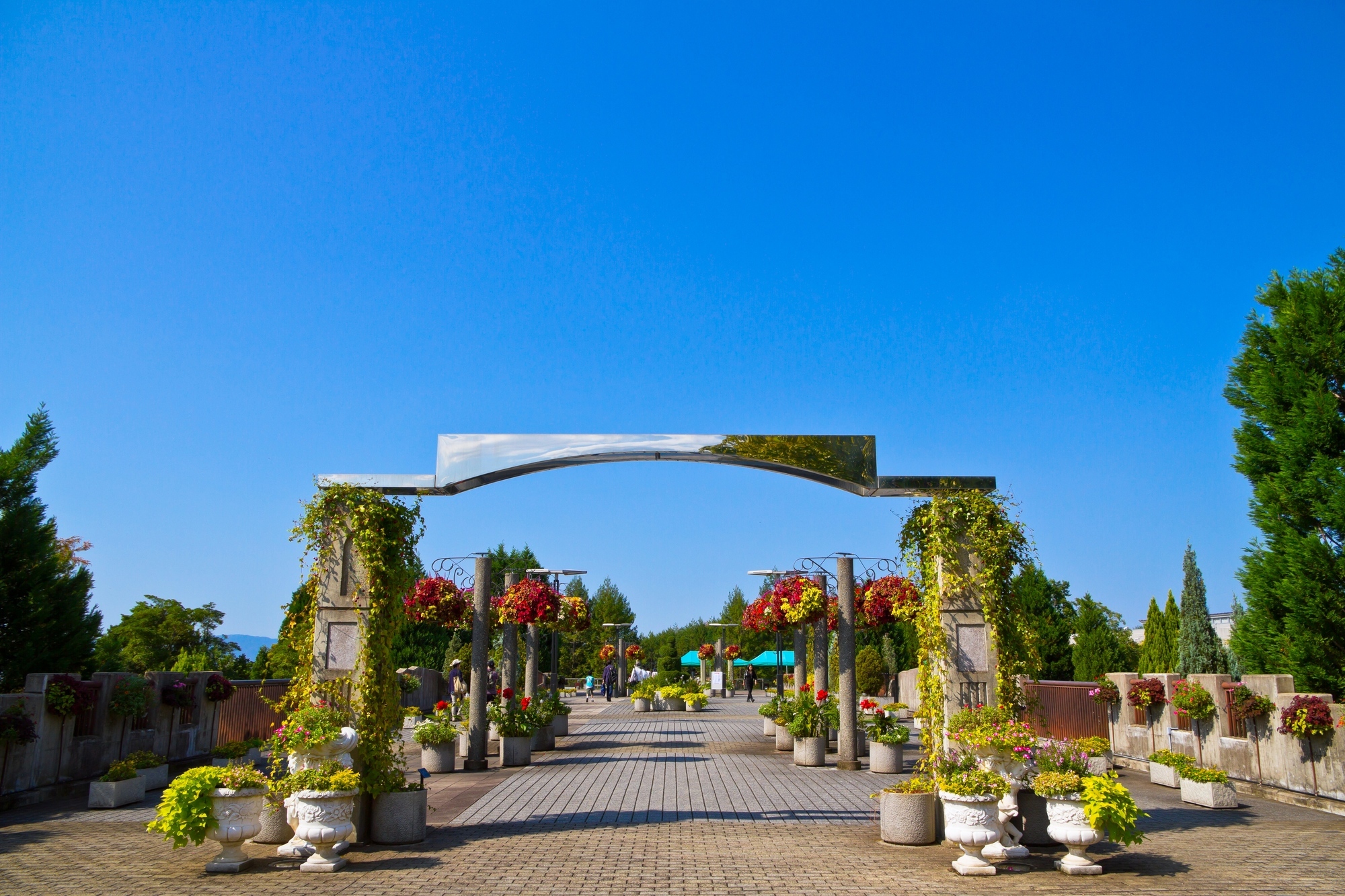 宇治市植物公園のイメージ 宇治市植物公園のイメージ