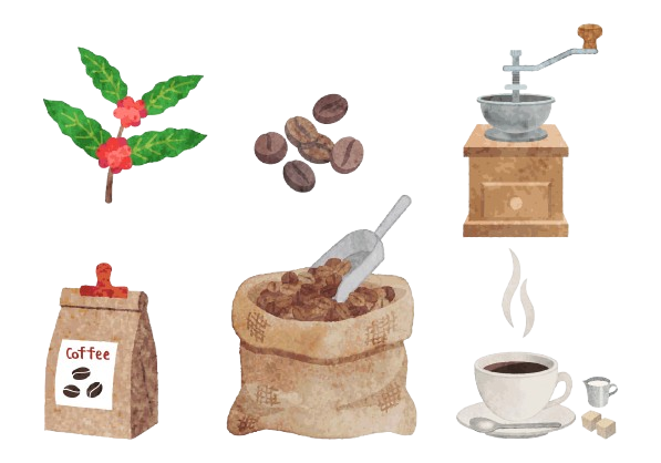 コーヒー豆 イメージ コーヒー豆 イメージ